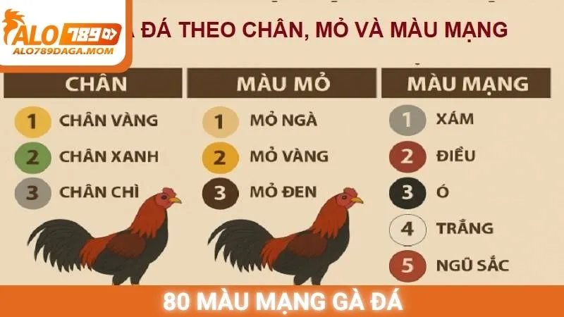 80 màu mạng gà đá