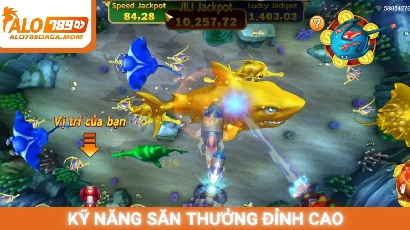 Kỹ năng săn thưởng đỉnh cao