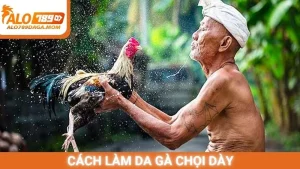 Cách Làm Da Gà Chọi Dày