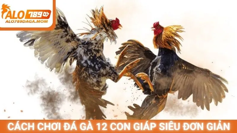 Cách chơi đá gà 12 con giáp siêu đơn giản