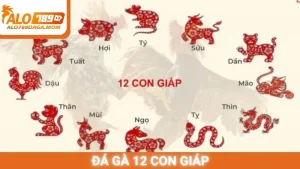Đá gà 12 con giáp