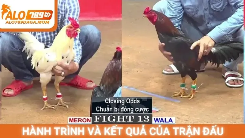 Hành trình và kết quả của trận đấu